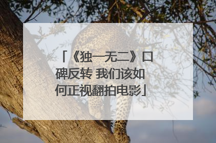 《独一无二》口碑反转 我们该如何正视翻拍电影