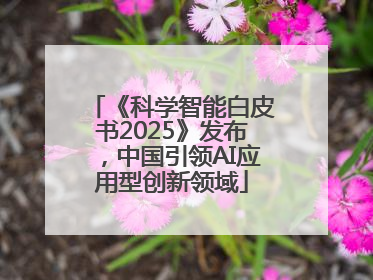 《科学智能白皮书2025》发布，中国引领AI应用型创新领域