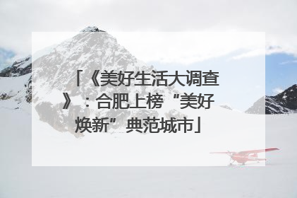 《美好生活大调查》：合肥上榜“美好焕新”典范城市
