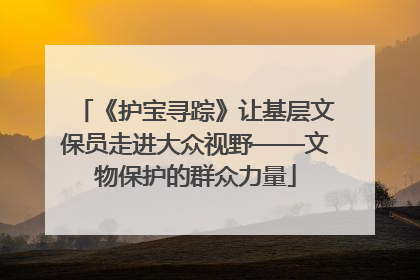 《护宝寻踪》让基层文保员走进大众视野——文物保护的群众力量