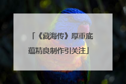 《藏海传》厚重底蕴精良制作引关注