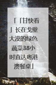 「甘快看」长在戈壁大漠的绿色蔬菜38小时直达粤港澳餐桌