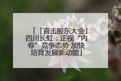 「直击股东大会」四川长虹：正视“内卷”竞争态势 加快培育发展新动能