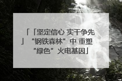 「坚定信心 实干争先」“钢铁森林”中 重塑“绿色”火电基因