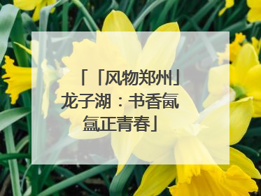 「风物郑州」龙子湖：书香氤氲正青春