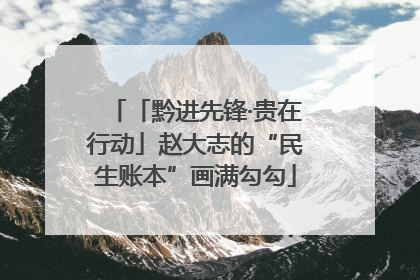 「黔进先锋·贵在行动」赵大志的“民生账本”画满勾勾
