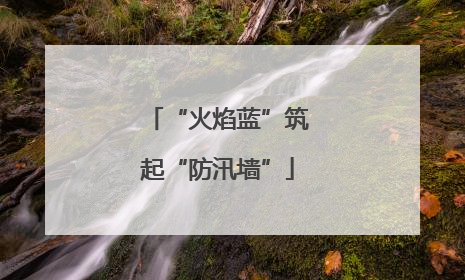 “火焰蓝”筑起“防汛墙”