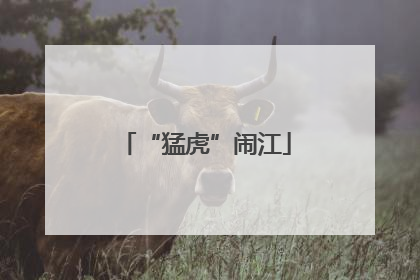 “猛虎”闹江