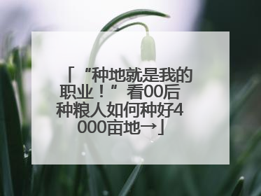 “种地就是我的职业！”看00后种粮人如何种好4000亩地→