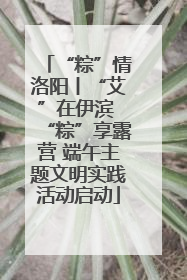 “粽”情洛阳丨“艾”在伊滨 “粽”享露营 端午主题文明实践活动启动