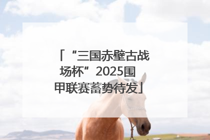 “三国赤壁古战场杯”2025围甲联赛蓄势待发