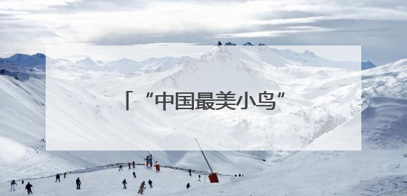 “中国最美小鸟”蓝喉蜂虎现身闽北