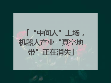 “中间人”上场，机器人产业“真空地带”正在消失