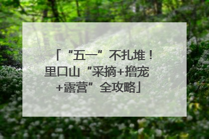 “五一”不扎堆！里口山“采摘+撸宠+露营”全攻略