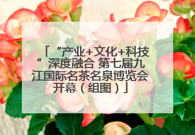 “产业+文化+科技”深度融合 第七届九江国际名茶名泉博览会开幕（组图）