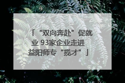 “双向奔赴”促就业 93家企业走进益阳师专“揽才”