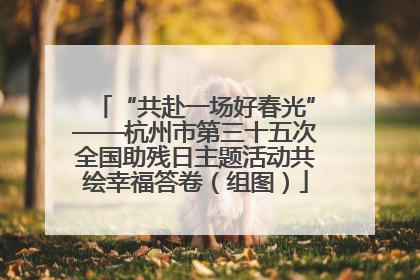 “共赴一场好春光”——杭州市第三十五次全国助残日主题活动共绘幸福答卷（组图）