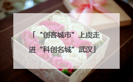 “创客城市”上虞走进“科创名城”武汉