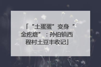 “土蛋蛋”变身“金疙瘩”：孙伯镇西程村土豆丰收记