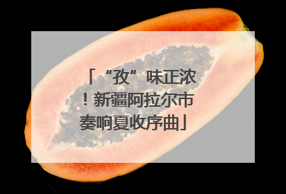 “孜”味正浓！新疆阿拉尔市奏响夏收序曲