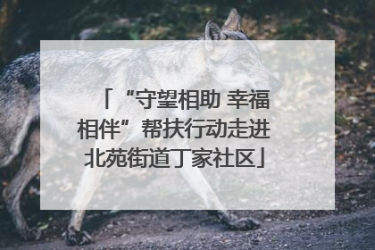 “守望相助 幸福相伴”帮扶行动走进北苑街道丁家社区