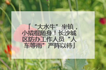 “大水牛”坐镇，小撬棍随身！长沙城区防办工作人员“人车等雨”严阵以待