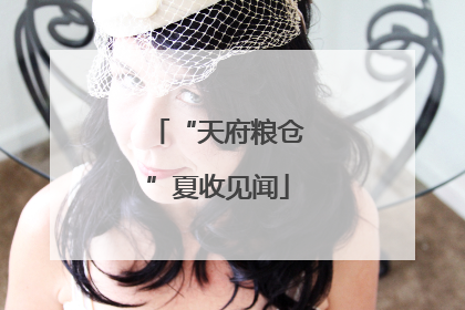 “天府粮仓”夏收见闻