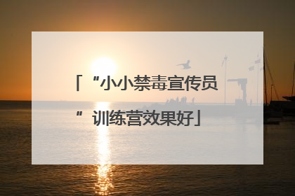 “小小禁毒宣传员”训练营效果好