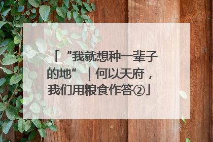 “我就想种一辈子的地”｜何以天府，我们用粮食作答②