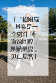 “招财猫”其实是一个熨斗 博物馆回应：是猫是虎，见仁见智