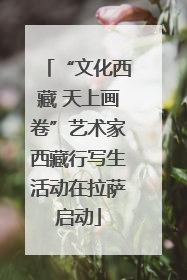 “文化西藏 天上画卷”艺术家西藏行写生活动在拉萨启动