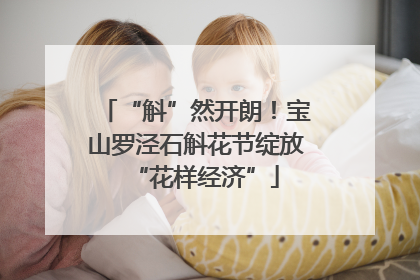 “斛”然开朗！宝山罗泾石斛花节绽放“花样经济”