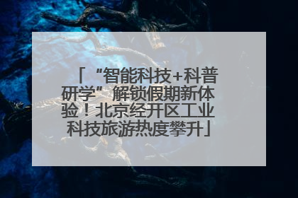 “智能科技+科普研学”解锁假期新体验！北京经开区工业科技旅游热度攀升