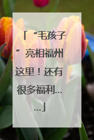 “毛孩子”亮相福州这里！还有很多福利……