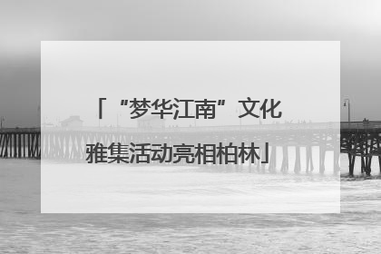 “梦华江南”文化雅集活动亮相柏林