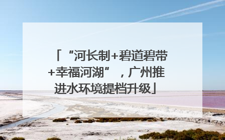 “河长制+碧道碧带+幸福河湖”，广州推进水环境提档升级