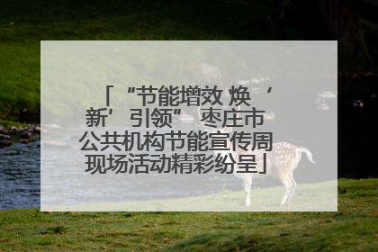 “节能增效 焕‘新’引领” 枣庄市公共机构节能宣传周现场活动精彩纷呈