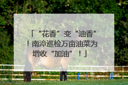 “花香”变“油香”！南漳巡检万亩油菜为增收“加油”！