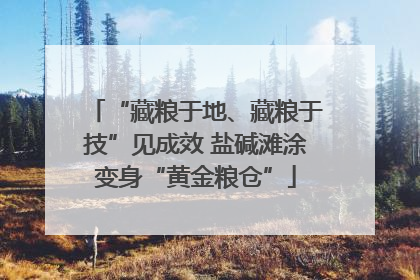 “藏粮于地、藏粮于技”见成效 盐碱滩涂变身“黄金粮仓”