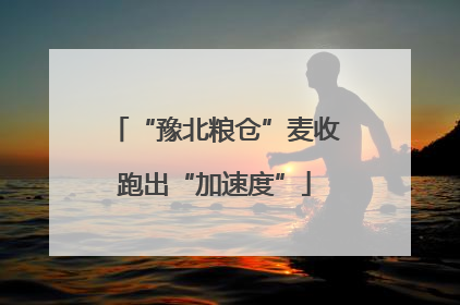 “豫北粮仓”麦收跑出“加速度”