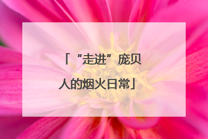 “走进”庞贝人的烟火日常