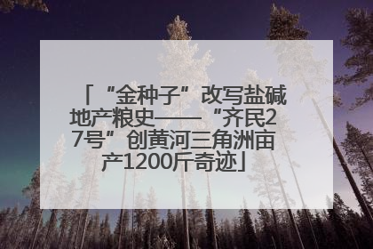 “金种子”改写盐碱地产粮史——“齐民27号”创黄河三角洲亩产1200斤奇迹