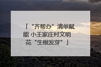 “齐帮办”清单赋能 小王家庄村文明花“生根发芽”