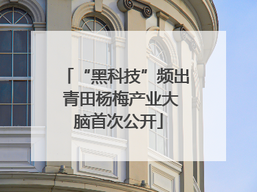 “黑科技”频出 青田杨梅产业大脑首次公开