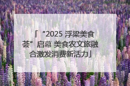“2025 浮梁美食荟”启幕 美食农文旅融合激发消费新活力