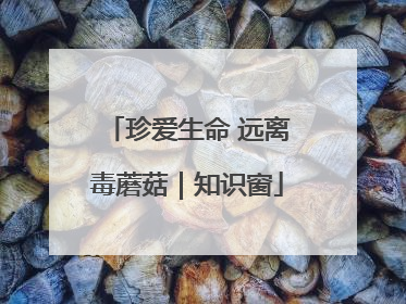 珍爱生命 远离毒蘑菇｜知识窗