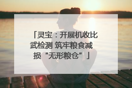 灵宝：开展机收比武检测 筑牢粮食减损“无形粮仓”