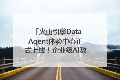火山引擎Data Agent体验中心正式上线！企业级AI数据专家触手可及