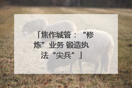 焦作城管：“修炼”业务 锻造执法“尖兵”