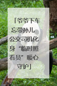 爷爷下车忘带孙儿 公交司机化身“临时照看员”暖心守护